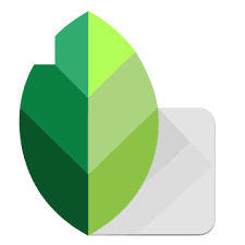 Snapseed Logo