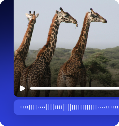 Voiceovers for Videos